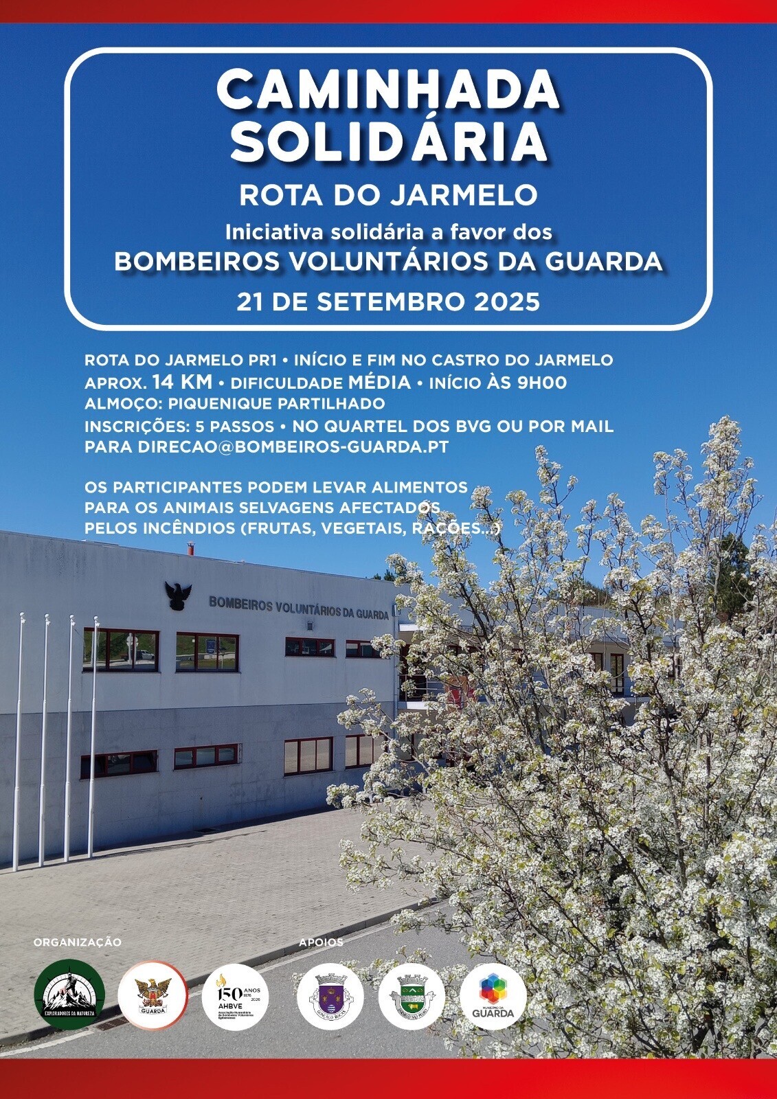 Caminhada Solidária