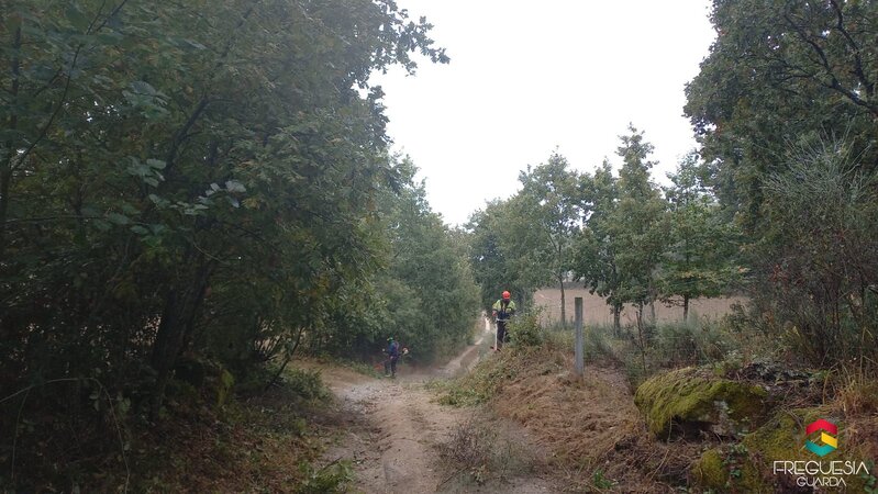 Trabalhos realizados em Setembro