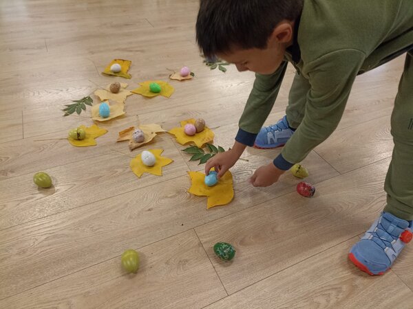 Propostas Socio-Educativas da Freguesia