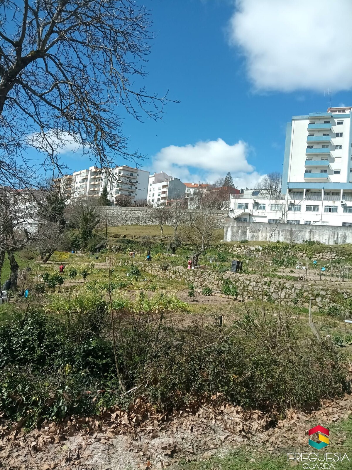 Trabalhos realizados na 12ª semana de 2025