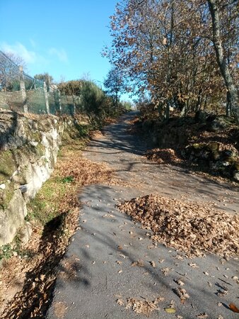 Limpeza de Caminhos Térreos