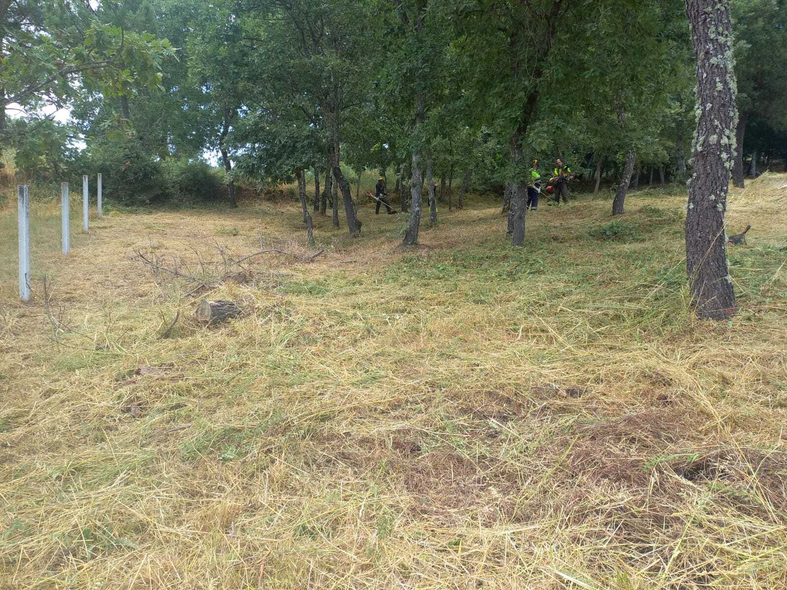 Trabalhos na Freguesia - junho de 2025