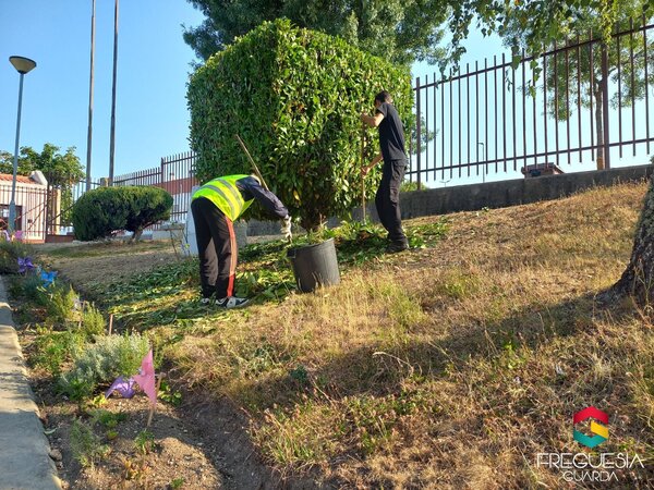 Trabalhos realizados na 33ª semana de 2025