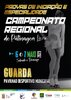CARTAZ_CAMPEONATO_REGIONAL_PATINAGEM_ARTISTICA_GUARDA_ABRIL_2023_page-0001
